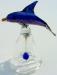 Blue dolphin - Next Glass Item
