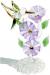 Lavender flowers & green hummingbird - Previous Glass Item