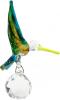 [Click for larger view] Blue multicolor hummingbird