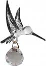 Platinum hummingbird
